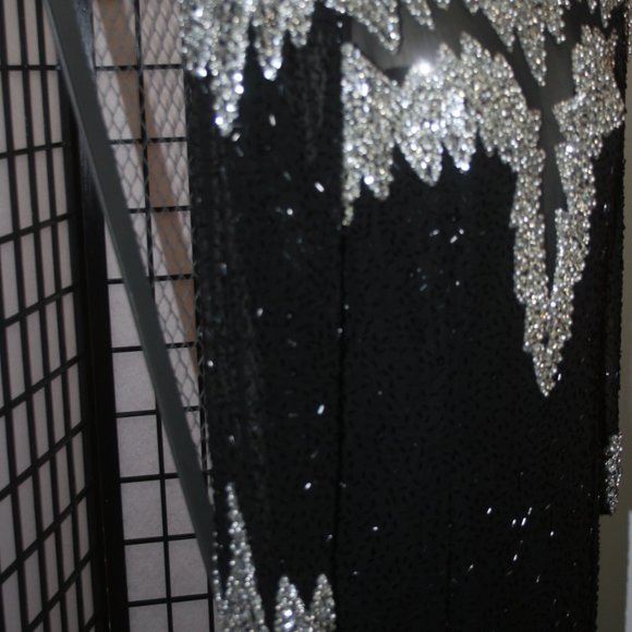 Beaded Show Gown - Picture 7 of 10